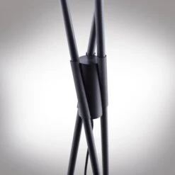 LED-Stehlampe Q-Peter 14 LED-Stehlampe Q-Peter -Lichtwelt Verkauf FJPG S700 1169