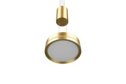 Trio LED-Pendelleuchte Franklin -Lichtwelt Verkauf FJPG S700 1498