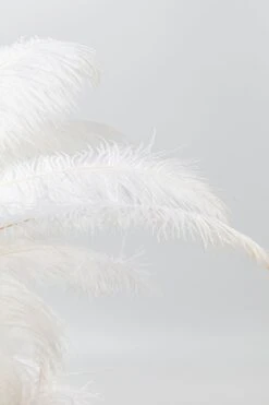 Tischleuchte Feather Palm -Lichtwelt Verkauf FJPG S700 1575