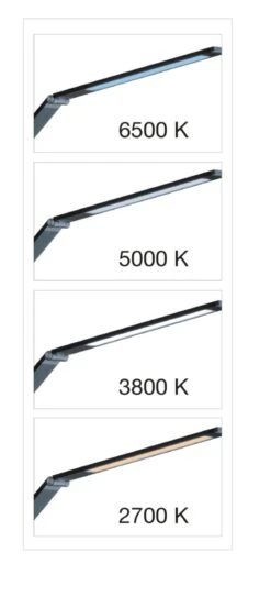 LED-Stehlampe Geri -Lichtwelt Verkauf FJPG S700 1629