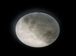 Trio LED-Deckenleuchte LUNAR -Lichtwelt Verkauf FJPG S700 2106