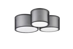 Trio Deckenleuchte Burton -Lichtwelt Verkauf FJPG S700 2130