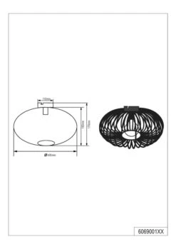 Trio Deckenleuchte Johann -Lichtwelt Verkauf FJPG S700 2185