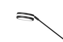 Trio LED-Stehlampe Franklin 15 Trio LED-Stehlampe Franklin -Lichtwelt Verkauf FJPG S700 2614