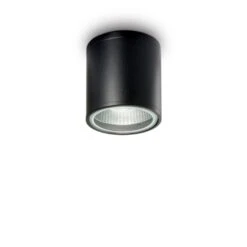 Außendeckenleuchte Gun