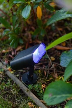 LED-Außensolarerdspieß Ginbo -Lichtwelt Verkauf FJPG S700 393