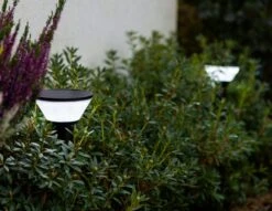 LED-Außensolarwegeleuchte Karlo -Lichtwelt Verkauf FJPG S700 463