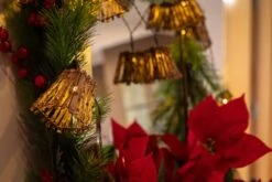 Lichtwelt Verkauf -Lichtwelt Verkauf FJPG S700 921